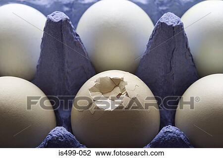 Smashed egg with other eggs in carton View Large Photo Image Stock Image - Smashed egg with other eggs in carton. Fotosearch