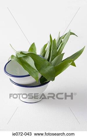 Bowls and wild garlic View Large Photo Image Stock Image - Bowls and wild garlic. Fotosearch