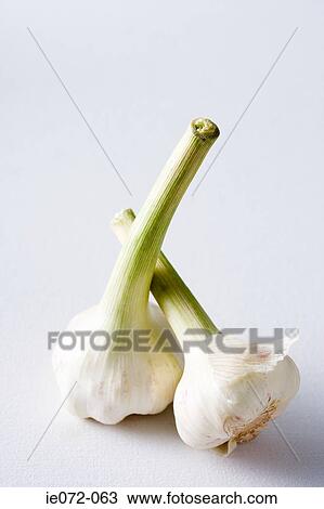 Garlic View Large Photo Image Stock Image - Garlic. Fotosearch
