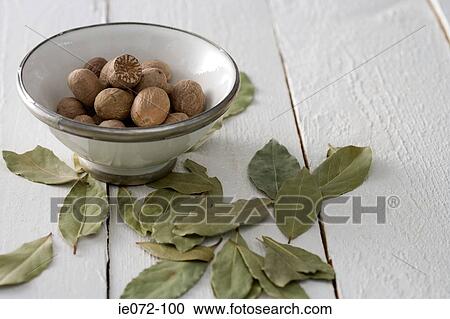 Nutmeg and bay leaves View Large Photo Image Stock Image - Nutmeg and bay leaves. Fotosearch