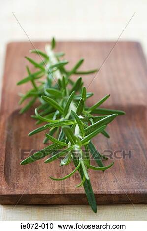 Rosemary and chopping board View Large Photo Image Stock Image - Rosemary and chopping board. Fotosearch