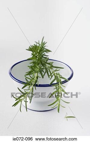 Rosemary on top of a bowl View Large Photo Image Stock Photograph - Rosemary on top of a bowl. Fotosearch