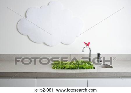 A butterfly on a tap and grass growing out of a sink View Large Photo Image Stock Image - A butterfly on a tap and grass growing out of a sink. Fotosearch