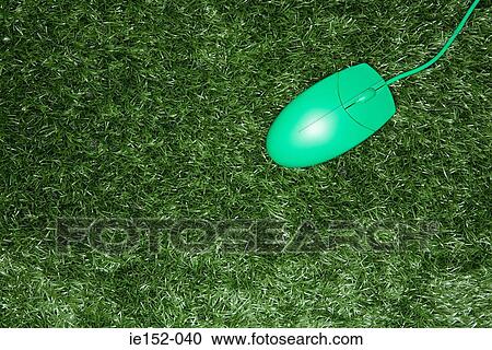 A green computer mouse View Large Photo Image Stock Image - A green computer mouse. Fotosearch