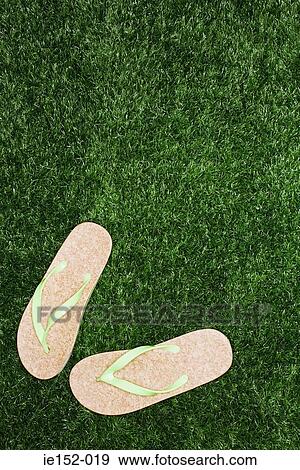 A pair of flip flops View Large Photo Image Stock Photo - A pair of flip flops. Fotosearch