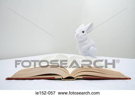A toy rabbit and a book View Large Photo Image Stock Photo - A toy rabbit and a book. Fotosearch