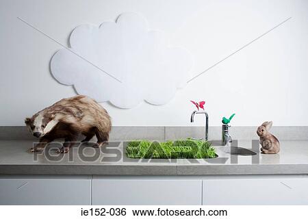 Fake animals a cloud and grass growing out of a sink View Large Photo Image Stock Photograph - Fake animals a cloud and grass growing out of a sink. Fotosearch