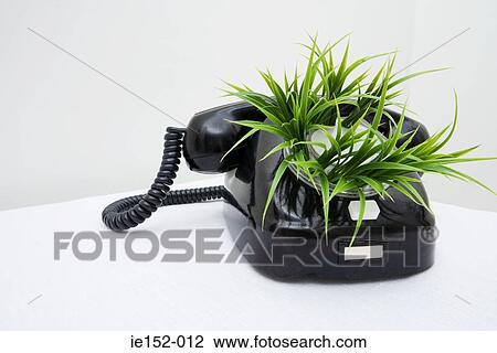 Grass growing out of a phone View Large Photo Image Stock Image - Grass growing out of a phone. Fotosearch