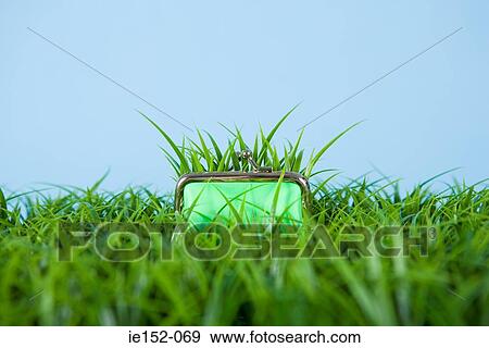Grass growing out of a purse View Large Photo Image Stock Photo - Grass growing out of a purse. Fotosearch