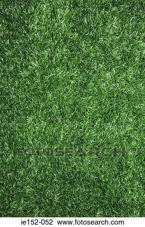 Grass View Large Photo Image Stock Image - Grass. Fotosearch