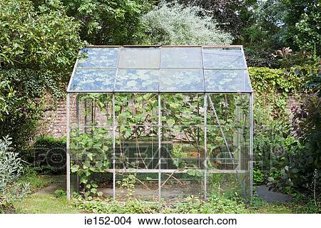 Greenhouse View Large Photo Image Picture - Greenhouse. Fotosearch