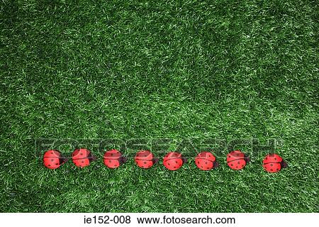 Toy ladybirds in a row View Large Photo Image Stock Photo - Toy ladybirds in a row. Fotosearch