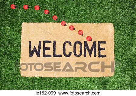 Toy ladybirds on a welcome mat View Large Photo Image Stock Photo - Toy ladybirds on a welcome mat. Fotosearch