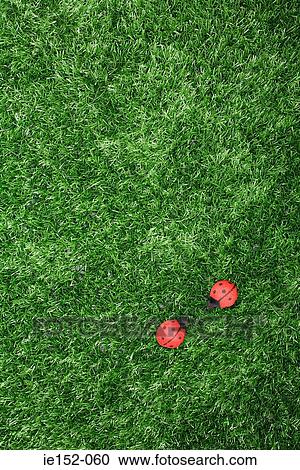 Stock Image - Toy ladybirds on fake grass. Fotosearch