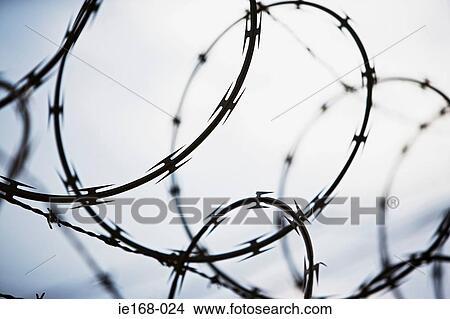Picture - Razor wire. Fotosearch