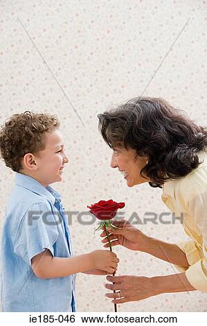 Boy giving rose to grandmother View Large Photo Image Stock Photograph - Boy giving rose to grandmother. Fotosearch