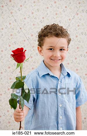 Boy holding a rose View Large Photo Image Stock Image - Boy holding a rose. Fotosearch