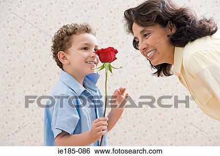 Boy with rose for grandmother View Large Photo Image Stock Photograph - Boy with rose for grandmother. Fotosearch