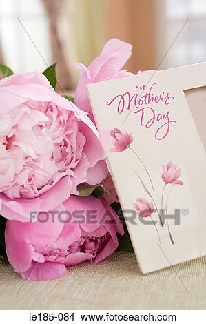 Flowers and mothers day card View Large Photo Image Picture - Flowers and mothers day card. Fotosearch