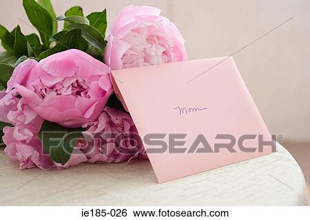Flowers and mothers day card View Large Photo Image Stock Photograph - Flowers and mothers day card. Fotosearch