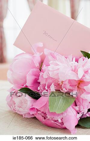Flowers and mothers day card View Large Photo Image Stock Photograph - Flowers and mothers day card. Fotosearch
