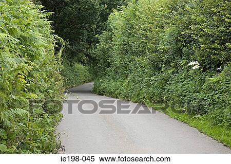 Empty rural road View Large Photo Image Stock Photography - Empty rural road. Fotosearch