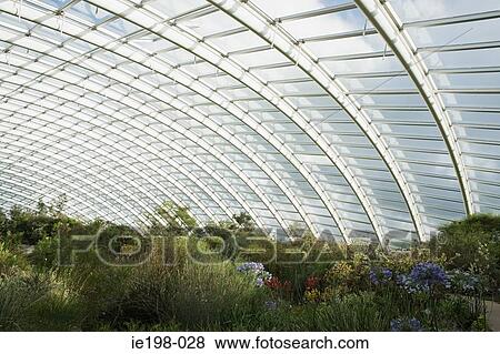 Plants in a large greenhouse View Large Photo Image Stock Photo - Plants in a large greenhouse. Fotosearch