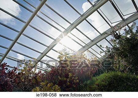 Sunlight through large greenhouse View Large Photo Image Stock Photo - Sunlight through large greenhouse. Fotosearch