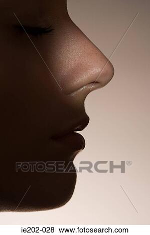 A womans nose illuminated View Large Photo Image Stock Photo - A womans nose illuminated. Fotosearch