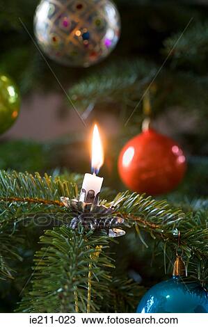A candle in a christmas tree View Large Photo Image Stock Image - A candle in a christmas tree. Fotosearch