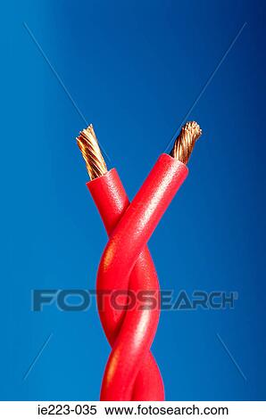 Cables twisted together View Large Photo Image Stock Photography - Cables twisted together. Fotosearch