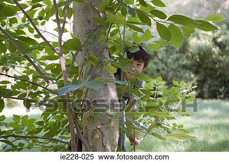 Stock Photography - Boy hiding behind a tree. Fotosearch