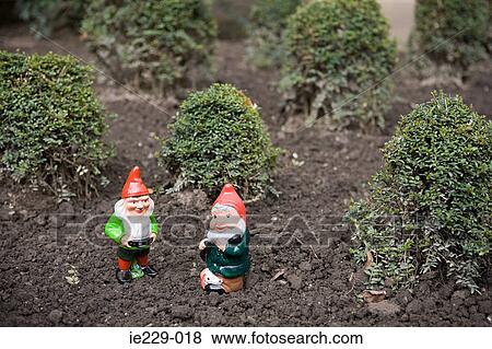 Two gnomes View Large Photo Image Stock Photo - Two gnomes. Fotosearch