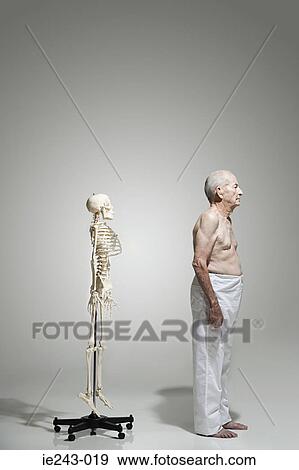 Elderly man standing near a skeleton View Large Photo Image Stock Photo - Elderly man standing near a skeleton. Fotosearch