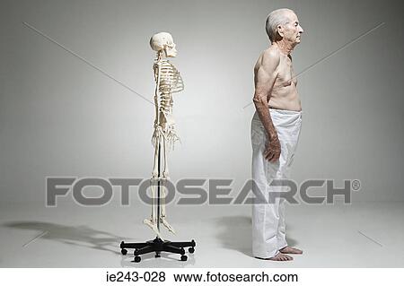 Elderly man standing near a skeleton View Large Photo Image Stock Photo - Elderly man standing near a skeleton. Fotosearch