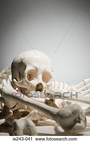 Stock Image - Human skull and bones. Fotosearch