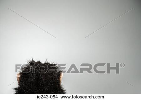 Picture - Monkey soft toy. Fotosearch