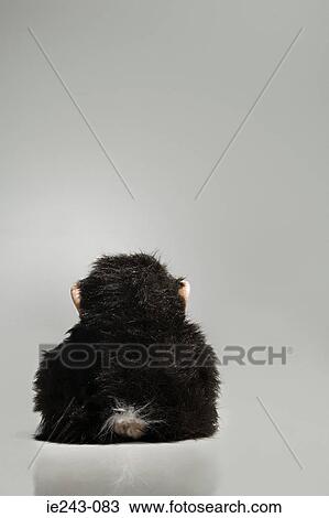 Monkey soft toy View Large Photo Image Stock Image - Monkey soft toy. Fotosearch