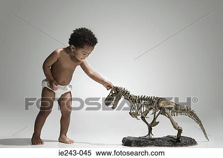Toddler playing with a dinosaur skeleton View Large Photo Image Stock Photography - Toddler playing with a dinosaur skeleton. Fotosearch