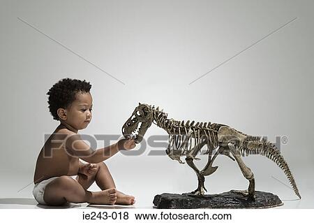 Toddler touching a dinosaur skeleton View Large Photo Image Stock Photo - Toddler touching a dinosaur skeleton. Fotosearch