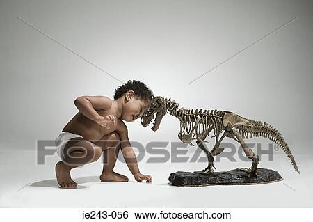 Toddler with a dinosaur skeleton View Large Photo Image Stock Photograph - Toddler with a dinosaur skeleton . Fotosearch