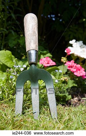 Gardening fork View Large Photo Image Stock Photograph - Gardening fork. Fotosearch