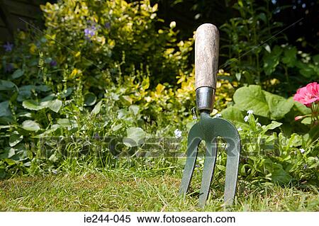 Gardening fork View Large Photo Image Stock Photography - Gardening fork. Fotosearch