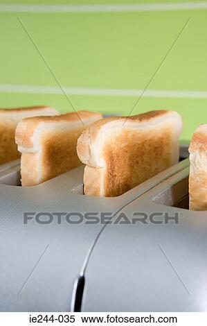 Toast in a toaster View Large Photo Image Stock Photography - Toast in a toaster. Fotosearch