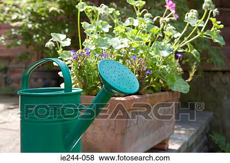 Stock Photo - Watering can. Fotosearch