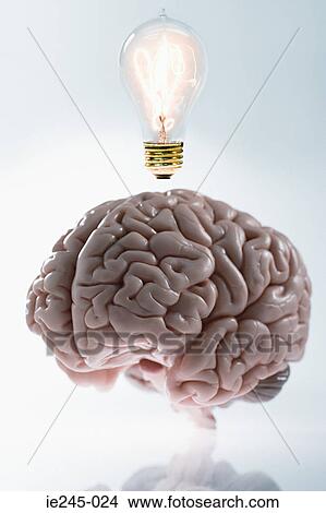 A brain having an idea View Large Photo Image Picture - A brain having an idea. Fotosearch