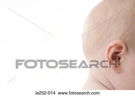 Picture - Babys head. Fotosearch