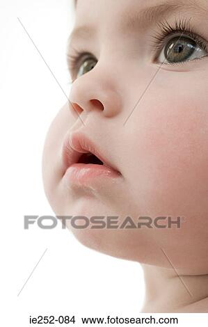 Face of a baby girl View Large Photo Image Picture - Face of a baby girl. Fotosearch