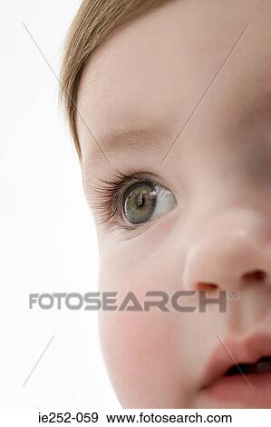 Face of a baby girl View Large Photo Image Stock Photo - Face of a baby girl. Fotosearch