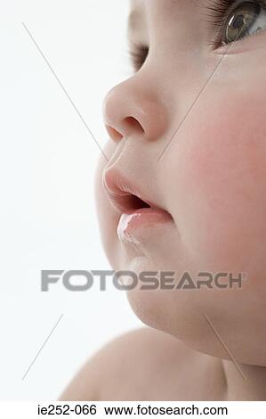 Face of a baby View Large Photo Image Stock Photograph - Face of a baby. Fotosearch